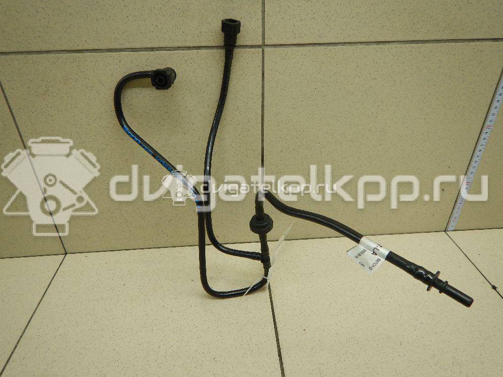 Фото Трубка вакуумная для двигателя 276DT для Ford Australia / Land Rover 190 л.с 24V 2.7 л Дизельное топливо LR019701 {forloop.counter}}