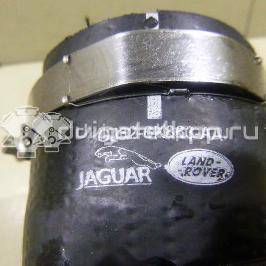Фото Патрубок интеркулера для двигателя 204DTD для Jaguar / Land Rover 150-180 л.с 16V 2.0 л Дизельное топливо LR071998