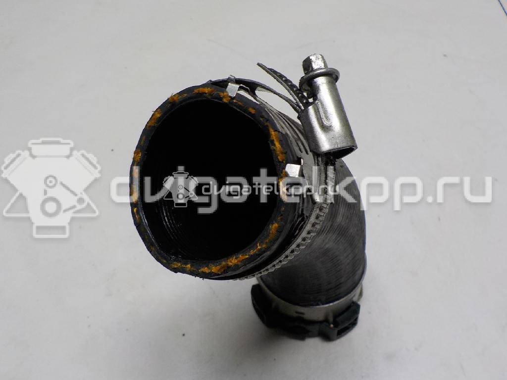 Фото Патрубок интеркулера для двигателя 204DTD для Jaguar / Land Rover 150-180 л.с 16V 2.0 л Дизельное топливо LR071998 {forloop.counter}}