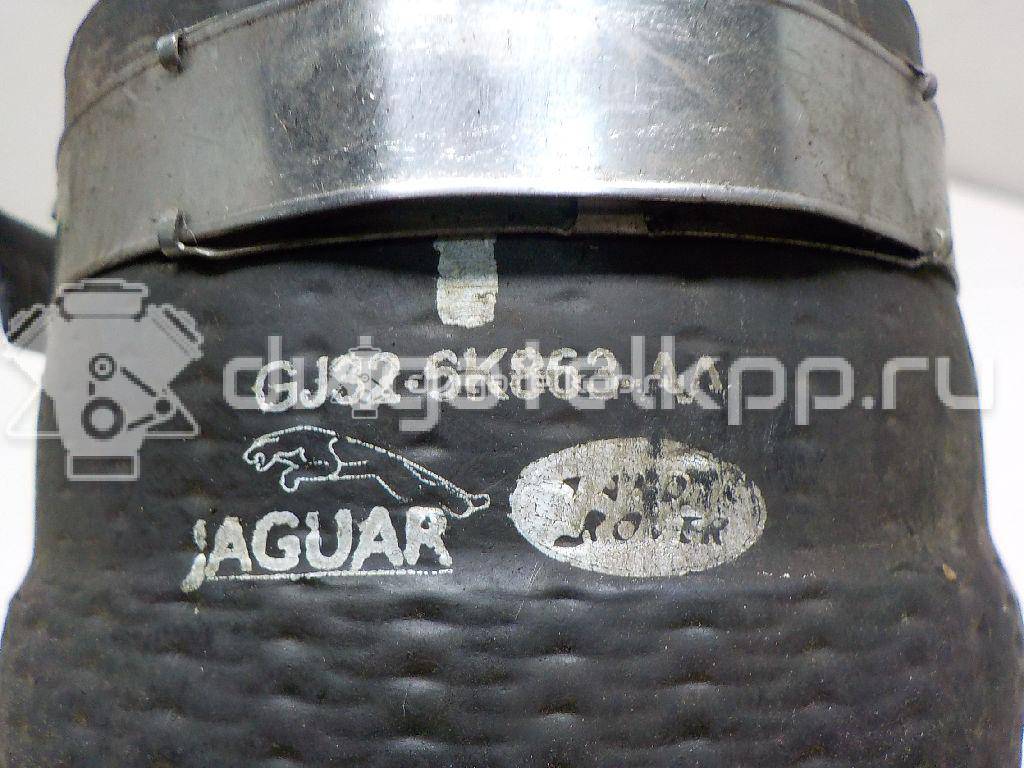 Фото Патрубок интеркулера для двигателя 204DTD для Jaguar / Land Rover 150-180 л.с 16V 2.0 л Дизельное топливо LR071998 {forloop.counter}}