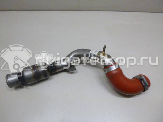 Фото Патрубок интеркулера для двигателя 306DT для Jaguar / Land Rover 241-300 л.с 24V 3.0 л Дизельное топливо LR056328 {forloop.counter}}