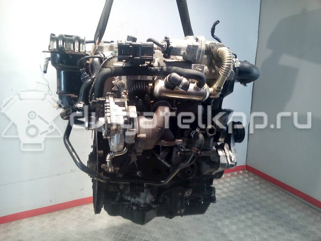 Фото Контрактный (б/у) двигатель KKDA для Ford Focus / C-Max 115 л.с 8V 1.8 л Дизельное топливо {forloop.counter}}