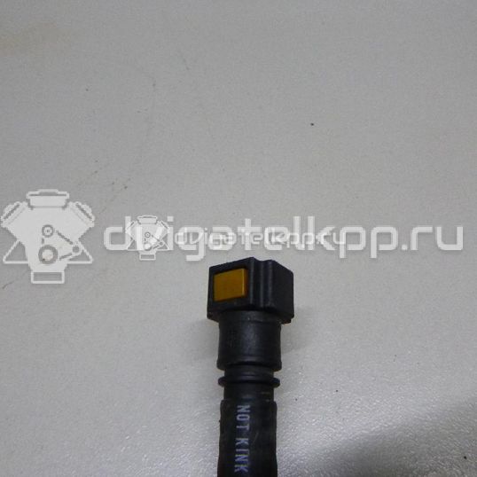 Фото Трубка топливная для двигателя 1UR-FSE для Lexus / Toyota 347-385 л.с 32V 4.6 л бензин 2390138020