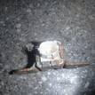 Фото Датчик AIR BAG  mr587733 для mitsubishi Outlander (CU) {forloop.counter}}