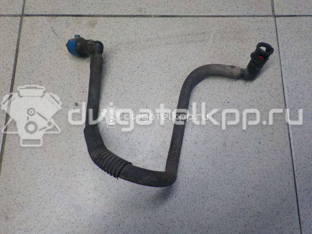 Фото Шланг топливный для двигателя Z6 для Mazda / Mazda (Changan) 107 л.с 16V 1.6 л бензин Z6011349XC {forloop.counter}}