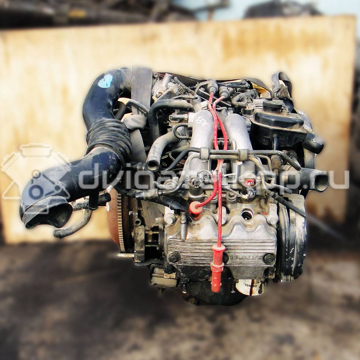 Фото Контрактный (б/у) двигатель EJ для Volkswagen / Triumph 70 л.с 8V 1.3 л бензин {forloop.counter}}