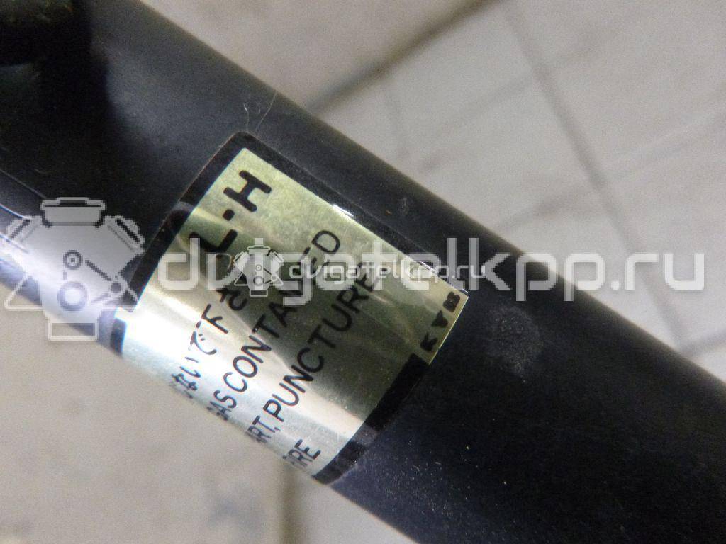 Фото Амортизатор двери багажника  MN145655 для Mitsubishi Grandis Na W {forloop.counter}}