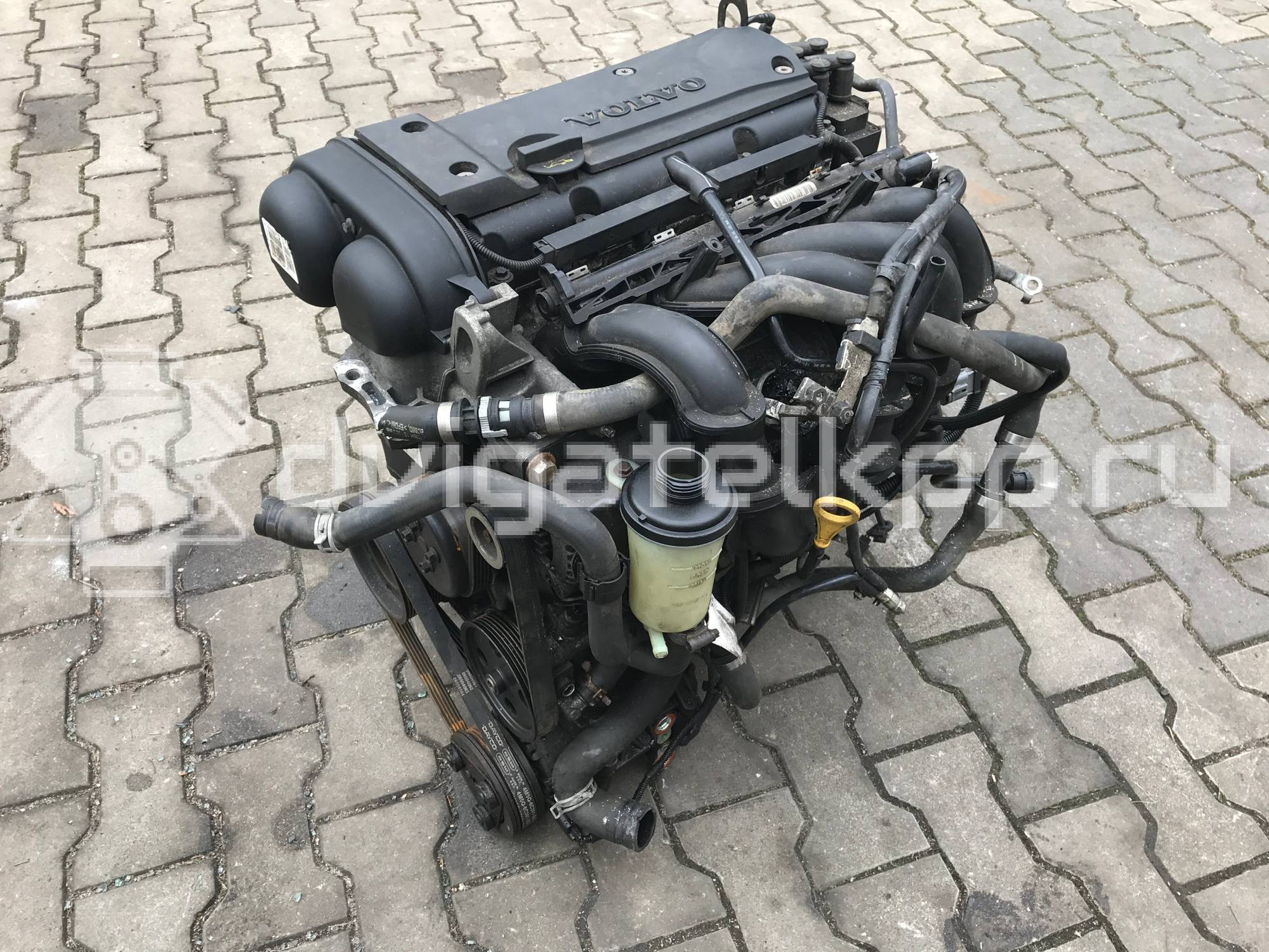 Фото Контрактный (б/у) двигатель B 4164 S для Volvo V40 / S40 105 л.с 16V 1.6 л бензин {forloop.counter}}