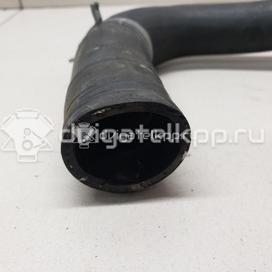 Фото Патрубок радиатора  8v218b273ad для Ford Fiesta / B-Max Jk