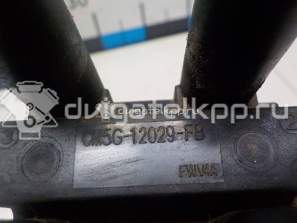 Фото Катушка зажигания  CM5G12029FB для Ford Fiesta / Focus / Tourneo / C-Max / Ka {forloop.counter}}