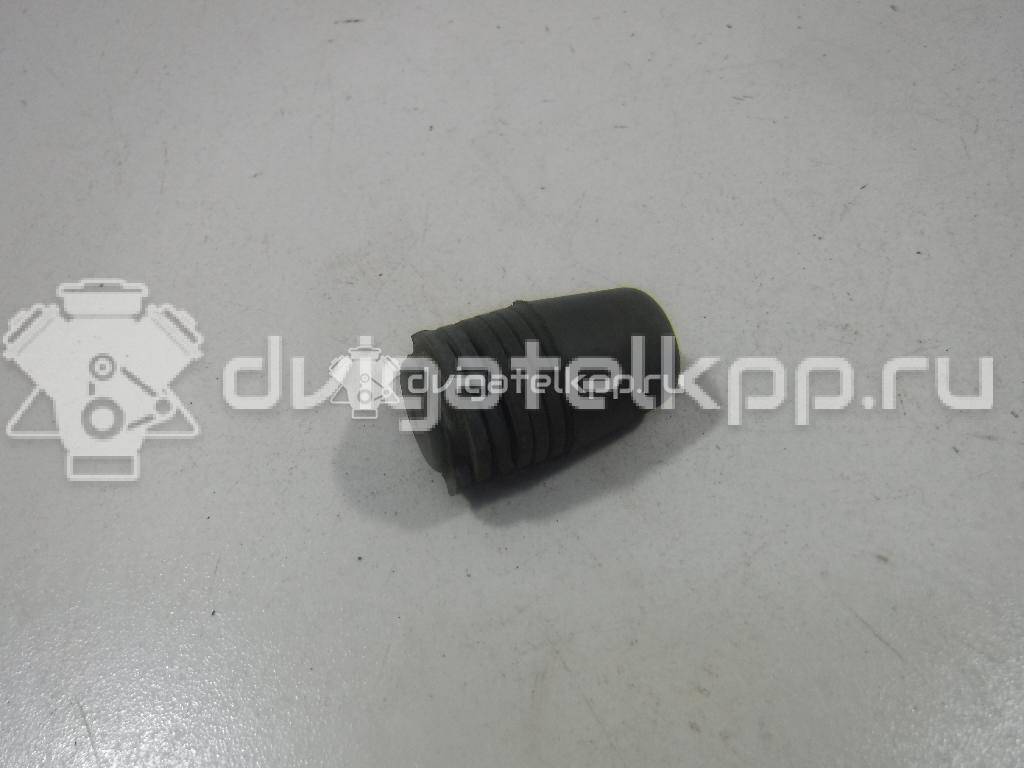 Фото Отбойник капота  1069504 для Ford Focus / S-Max / Transit / C-Max {forloop.counter}}