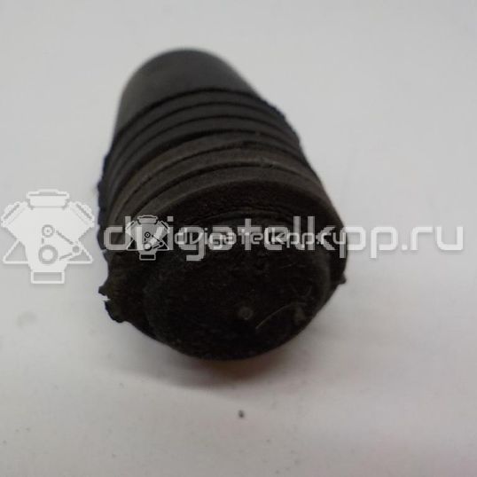 Фото Отбойник капота  1069504 для Ford Focus / S-Max / Transit / C-Max