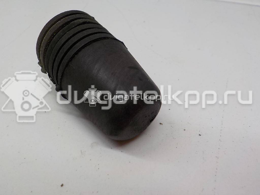 Фото Отбойник капота  1069504 для Ford Focus / S-Max / Transit / C-Max {forloop.counter}}