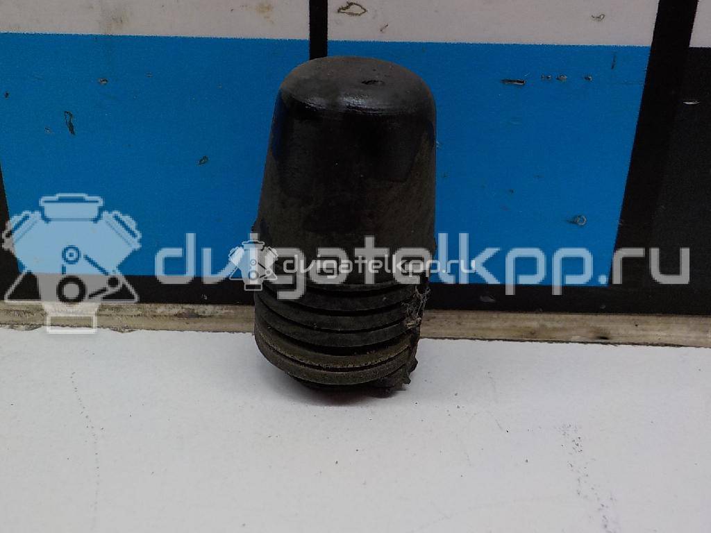 Фото Отбойник капота  1069504 для Ford Focus / S-Max / Transit / C-Max {forloop.counter}}