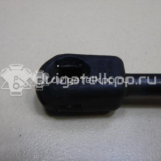 Фото Амортизатор двери багажника  3M51R406A10AB для Ford Focus / C-Max