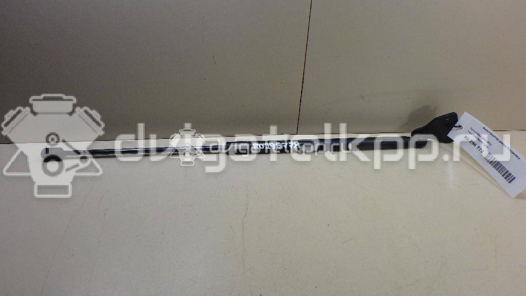 Фото Амортизатор двери багажника  3M51R406A10AB для Ford Focus / C-Max {forloop.counter}}