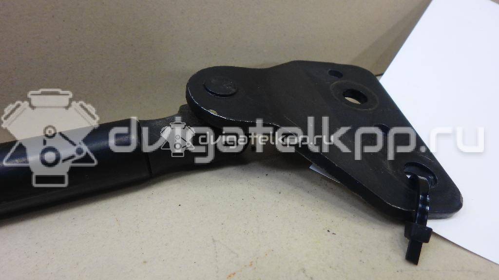 Фото Амортизатор двери багажника  3M51R406A10AB для Ford Focus / C-Max {forloop.counter}}