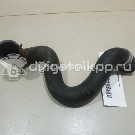 Фото Патрубок радиатора  1384145 для Ford Focus / C-Max
