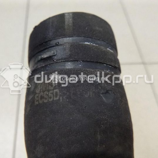 Фото Патрубок радиатора  1384148 для Ford Focus / C-Max