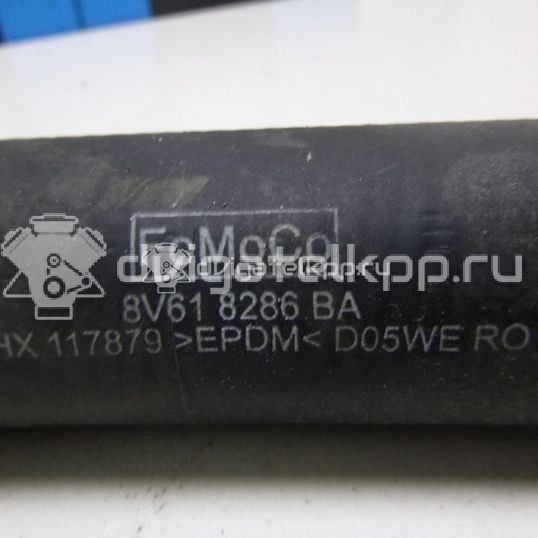 Фото Патрубок радиатора  8v618286ba для Ford Focus / C-Max