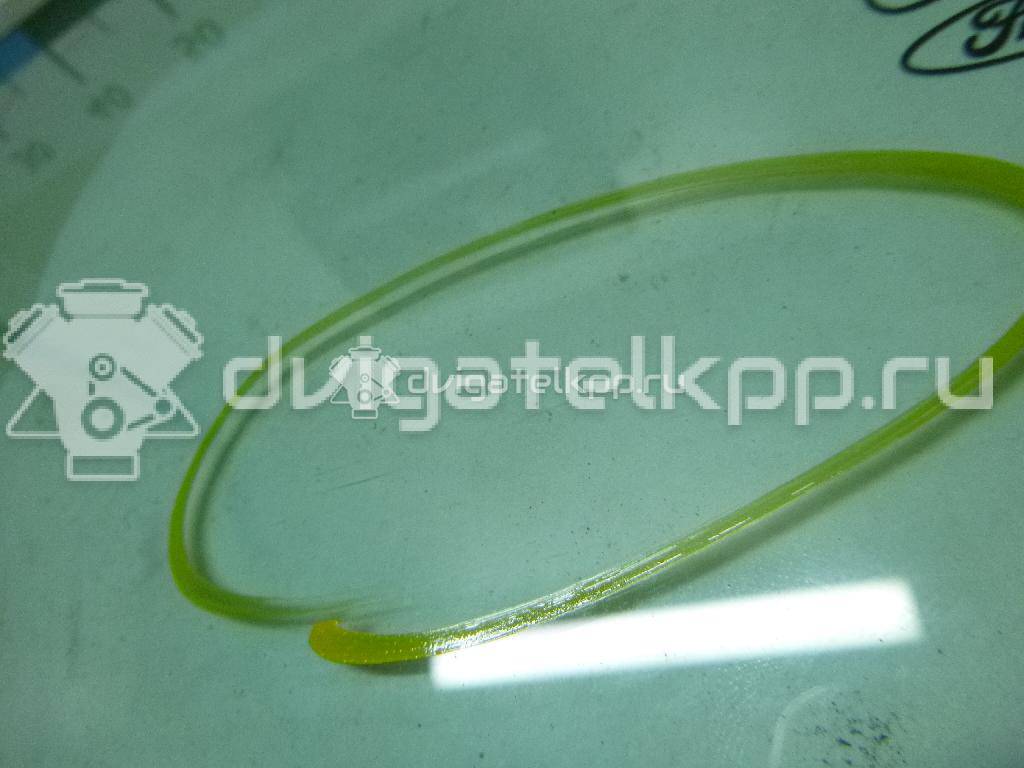 Фото Стекло двери передней левой  1742302 для Ford Focus {forloop.counter}}