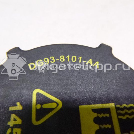 Фото Крышка расширительного бачка  5193938 для Ford Fiesta / Focus / Tourneo / C-Max / Ka