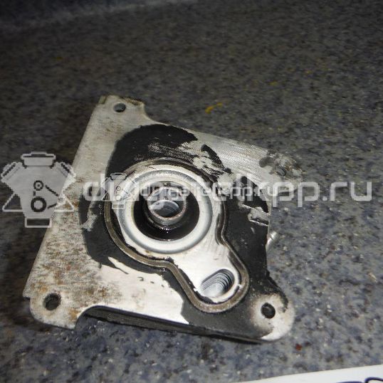 Фото Радиатор масляный для двигателя VQ35DE для Infiniti / Mitsuoka / Isuzu / Nissan / Nissan (Dongfeng) 243-284 л.с 24V 3.5 л бензин