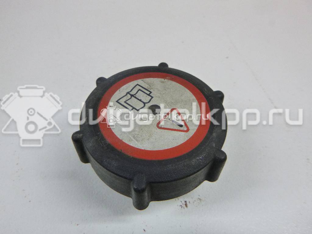 Фото Крышка расширительного бачка  95VB8100AE для Ford Scorpio / Transit {forloop.counter}}