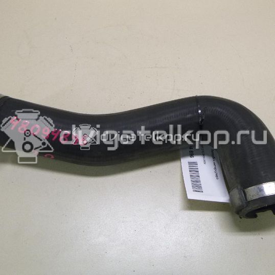 Фото Патрубок интеркулера  4655362 для Ford Transit