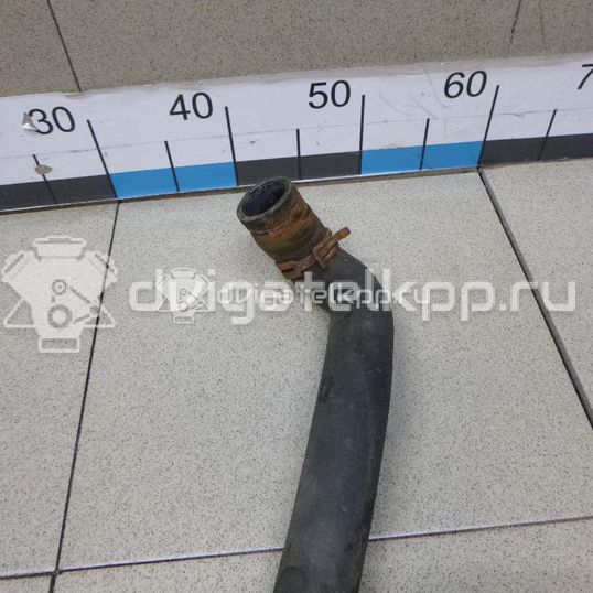 Фото Патрубок радиатора  1695561 для Ford Transit