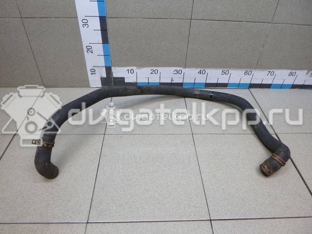 Фото Патрубок радиатора  1695561 для Ford Transit {forloop.counter}}