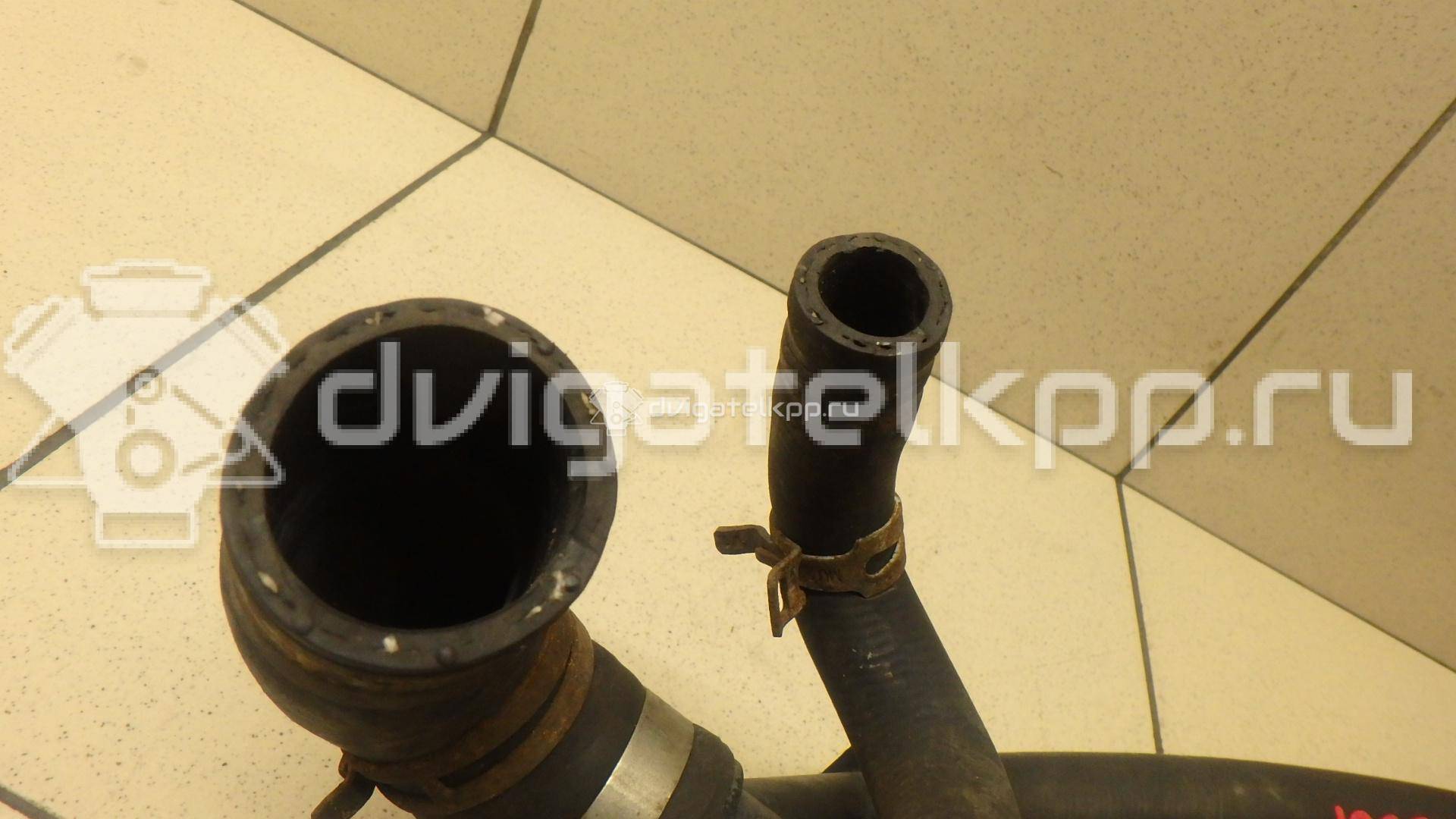 Фото Патрубок радиатора  1469442 для Ford Transit {forloop.counter}}