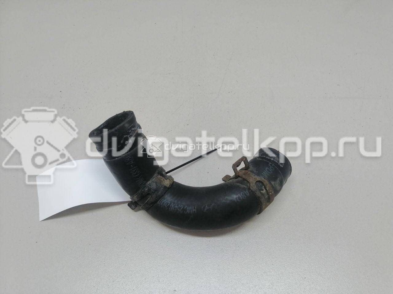 Фото Шланг системы охлаждения  2548026001 для Hyundai Getz Tb / Accent / Matrix Fc / Elantra / Coupe {forloop.counter}}