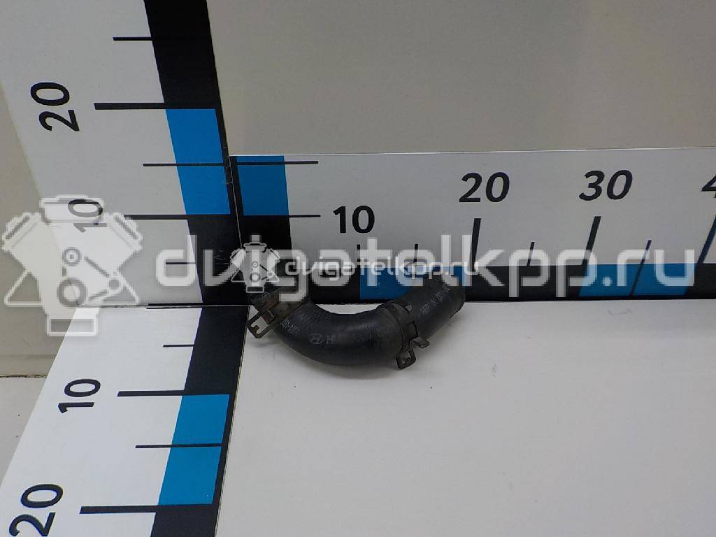 Фото Шланг системы охлаждения  2548026001 для Hyundai Getz Tb / Accent / Matrix Fc / Elantra / Coupe {forloop.counter}}