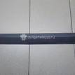 Фото Молдинг задней правой двери  877321C000CA для Hyundai Getz Tb {forloop.counter}}