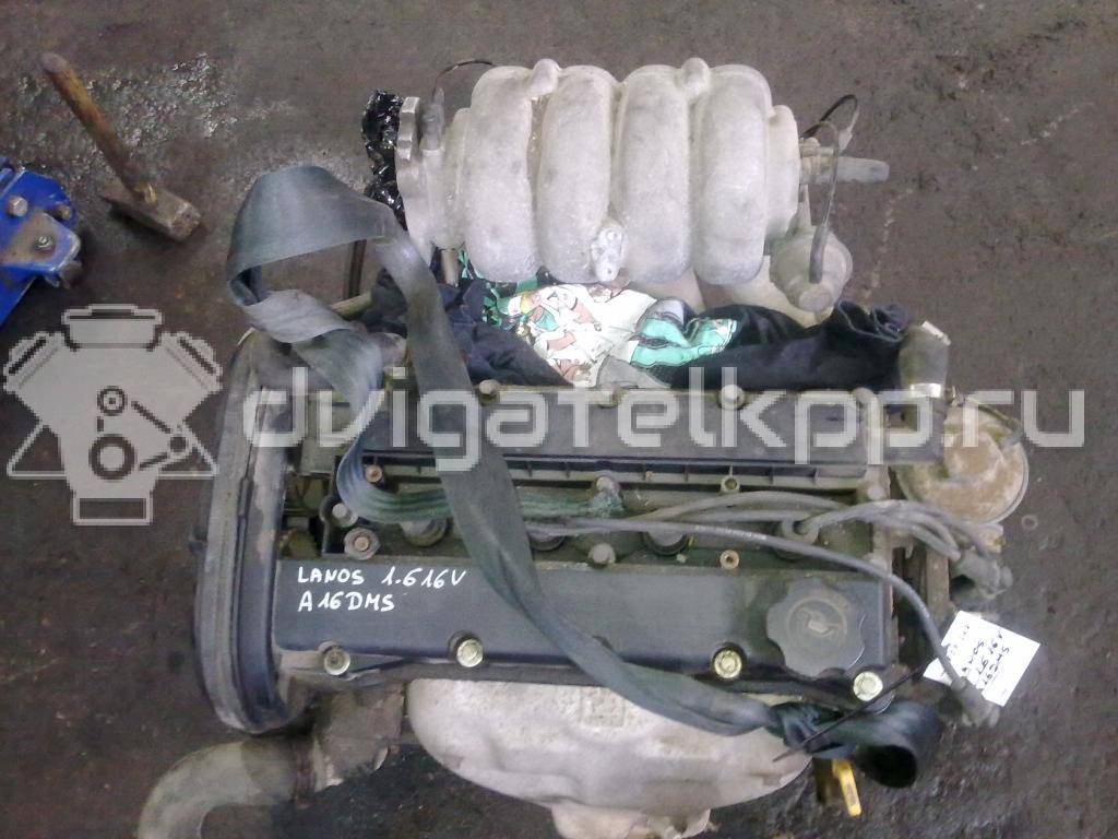 Фото Контрактный (б/у) двигатель A16DMS для Daewoo / Fso / Chevrolet 103-106 л.с 16V 1.6 л бензин {forloop.counter}}