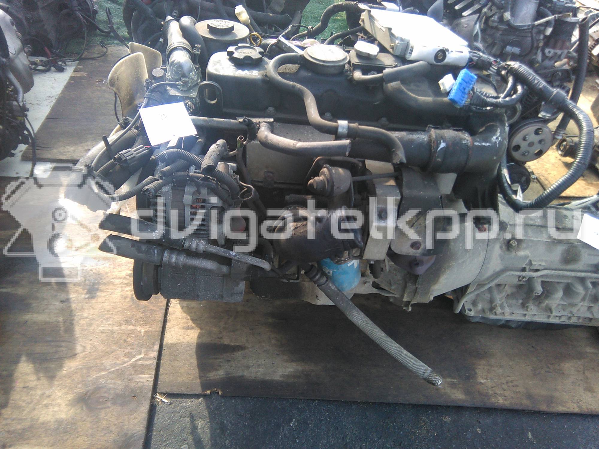 Фото Контрактный (б/у) двигатель TD27ETi для Nissan Urvan / Pathfinder 125-131 л.с 8V 2.7 л Дизельное топливо {forloop.counter}}