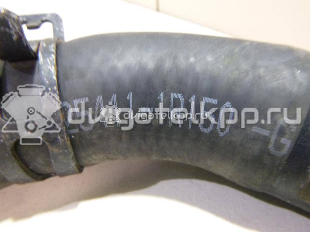 Фото Патрубок радиатора  254111r150 для hyundai Solaris {forloop.counter}}