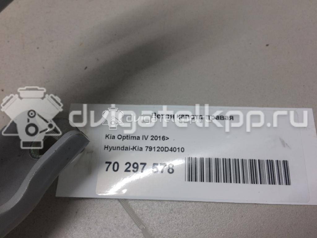 Фото Петля капота правая  79120D4010 для Kia Optima {forloop.counter}}