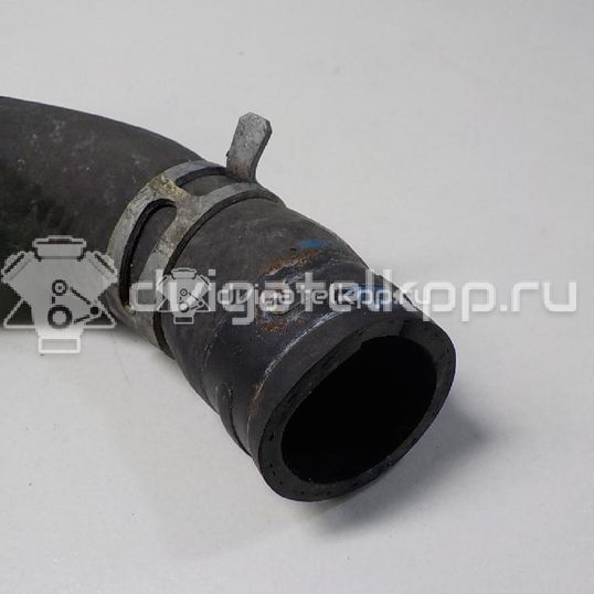 Фото Патрубок радиатора  254113X100 для kia Ceed