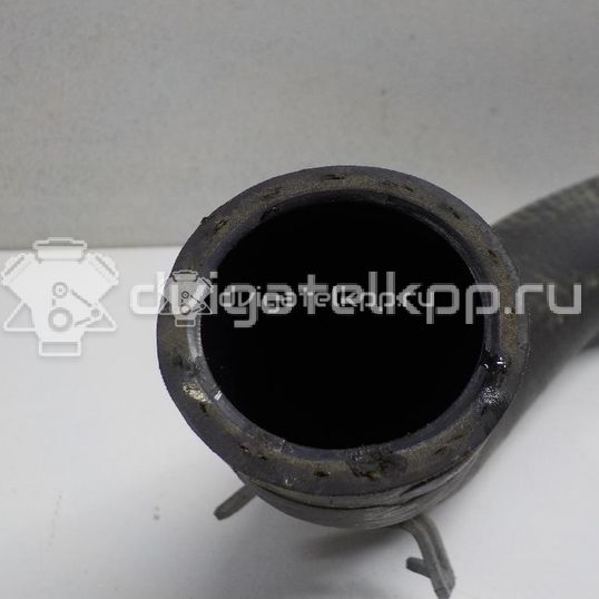 Фото Патрубок радиатора  254123X001 для kia Ceed