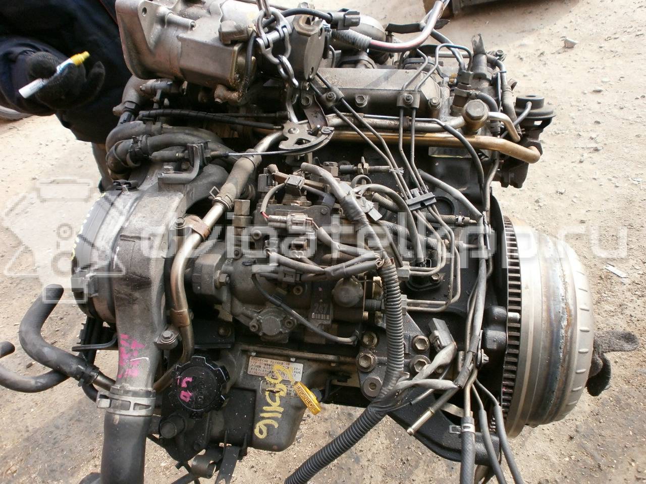 Фото Контрактный (б/у) двигатель 3C-TE для Toyota Gaia M1 / Sprinter / Avensis / Picnic Xm1 / Deliboy Kxc1 , Cxc1 90-105 л.с 8V 2.2 л Дизельное топливо {forloop.counter}}