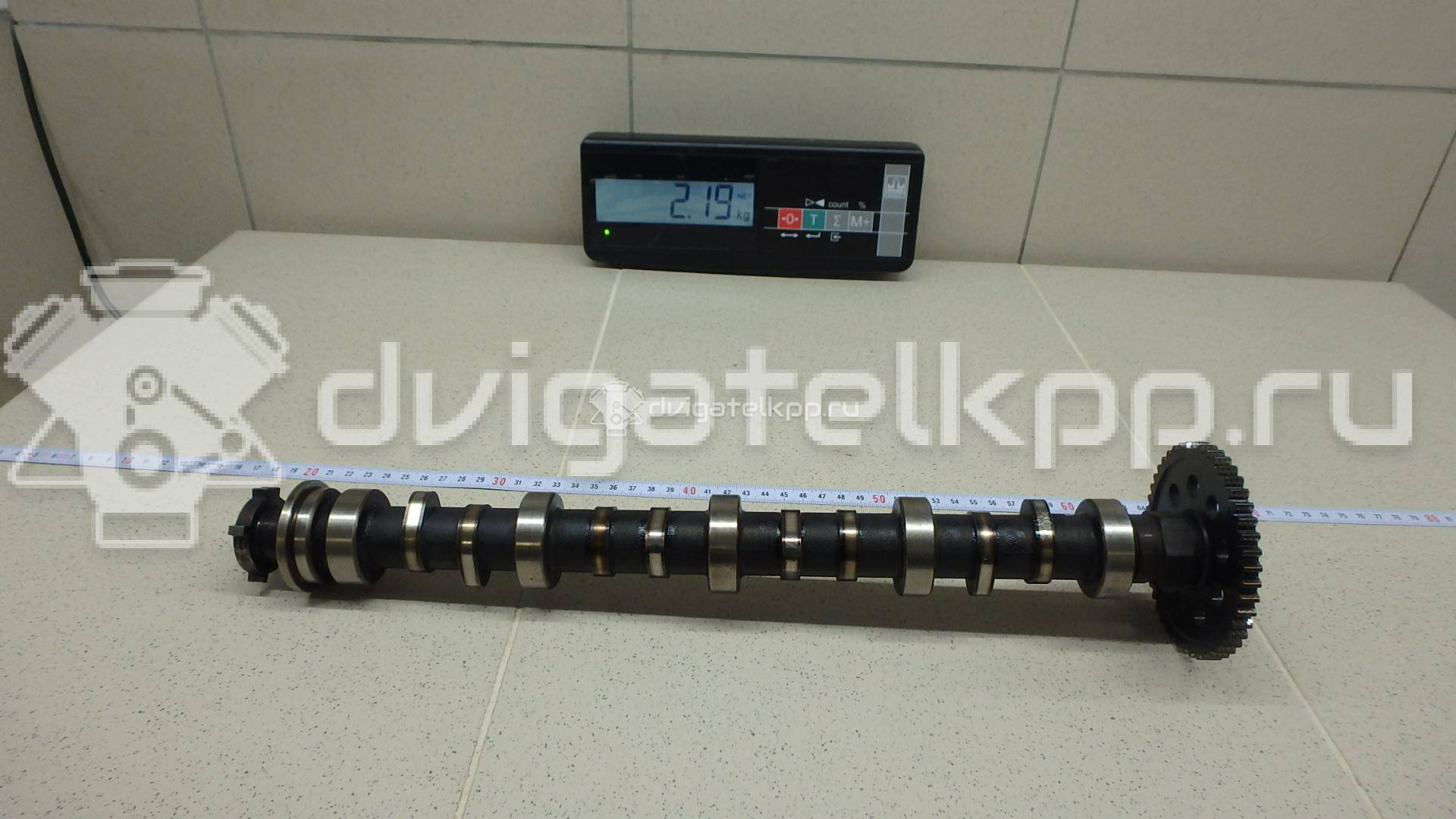 Фото Распредвал для двигателя L13A1 для Honda City / Jazz 80-86 л.с 8V 1.3 л бензин 14110PWA000 {forloop.counter}}