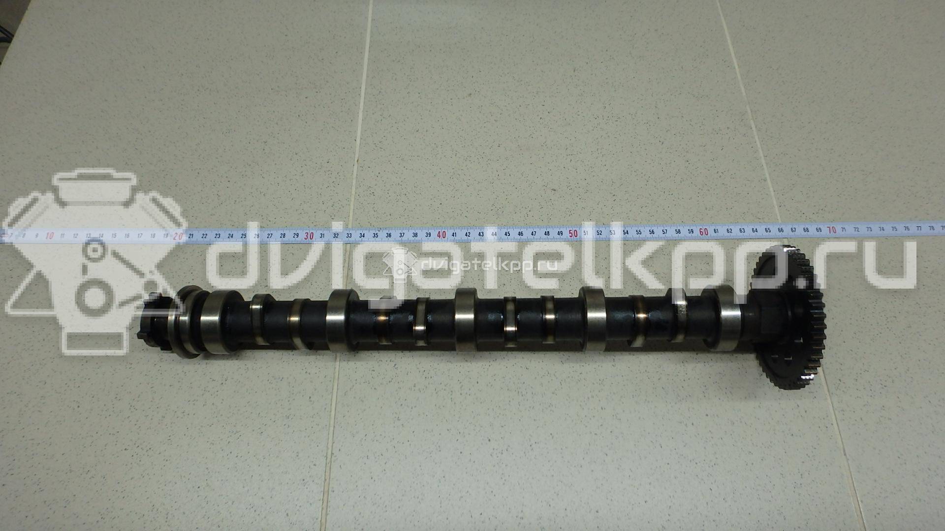 Фото Распредвал для двигателя L13A1 для Honda City / Jazz 80-86 л.с 8V 1.3 л бензин 14110PWA000 {forloop.counter}}