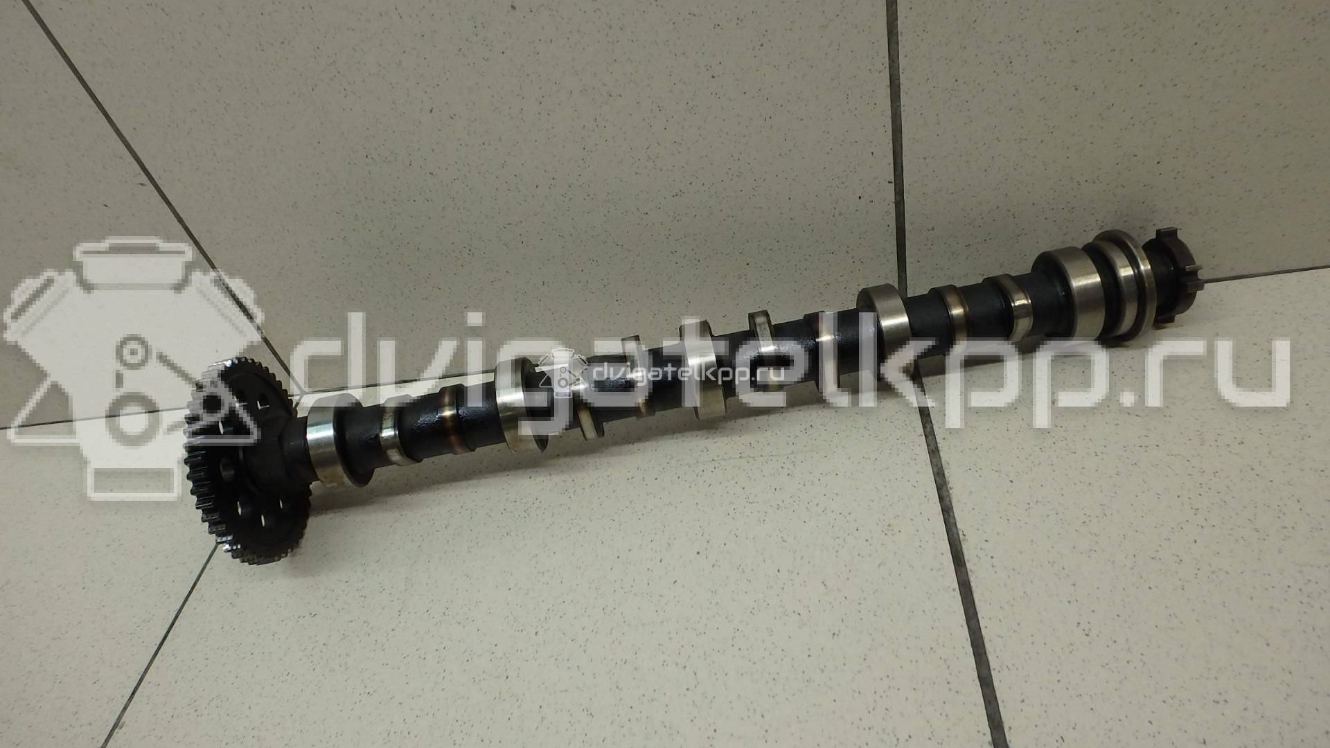 Фото Распредвал для двигателя L13A1 для Honda City / Jazz 80-86 л.с 8V 1.3 л бензин 14110PWA000 {forloop.counter}}