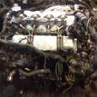 Фото Контрактный (б/у) двигатель 1C для Volkswagen / Toyota 69 л.с 8V 1.6 л Дизельное топливо {forloop.counter}}