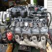 Фото Контрактный (б/у) двигатель LM7 для Cadillac / Gmc / Chevrolet 273-315 л.с 16V 5.3 л бензин {forloop.counter}}