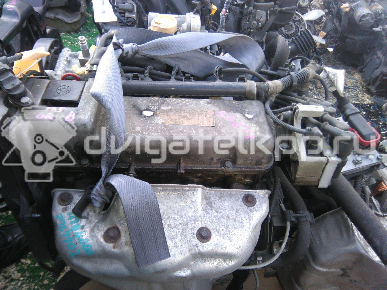 Фото Контрактный (б/у) двигатель 188 A4.000 для Fiat (Nanjing) / Fiat 60 л.с 8V 1.2 л бензин {forloop.counter}}