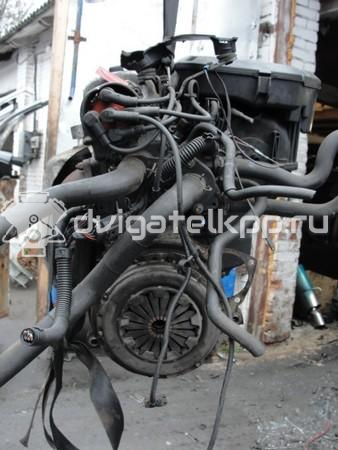 Фото Контрактный (б/у) двигатель ALM для Volkswagen Polo 75 л.с 8V 1.6 л бензин {forloop.counter}}