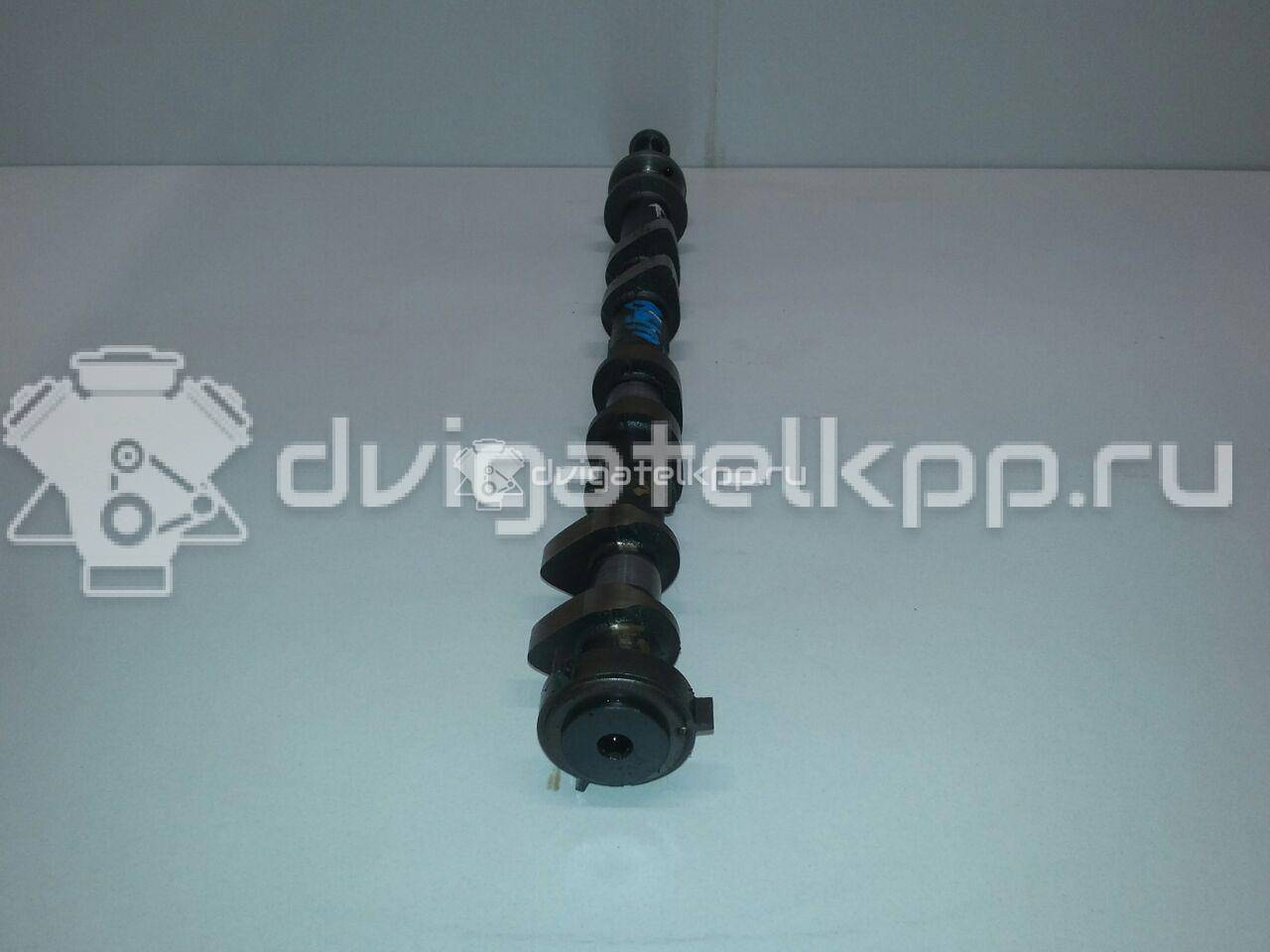 Фото Распредвал выпускной для двигателя VQ35HR для Infiniti / Mitsuoka / Mitsubishi / Nissan 306 л.с 24V 3.5 л бензин 13020JK20D {forloop.counter}}